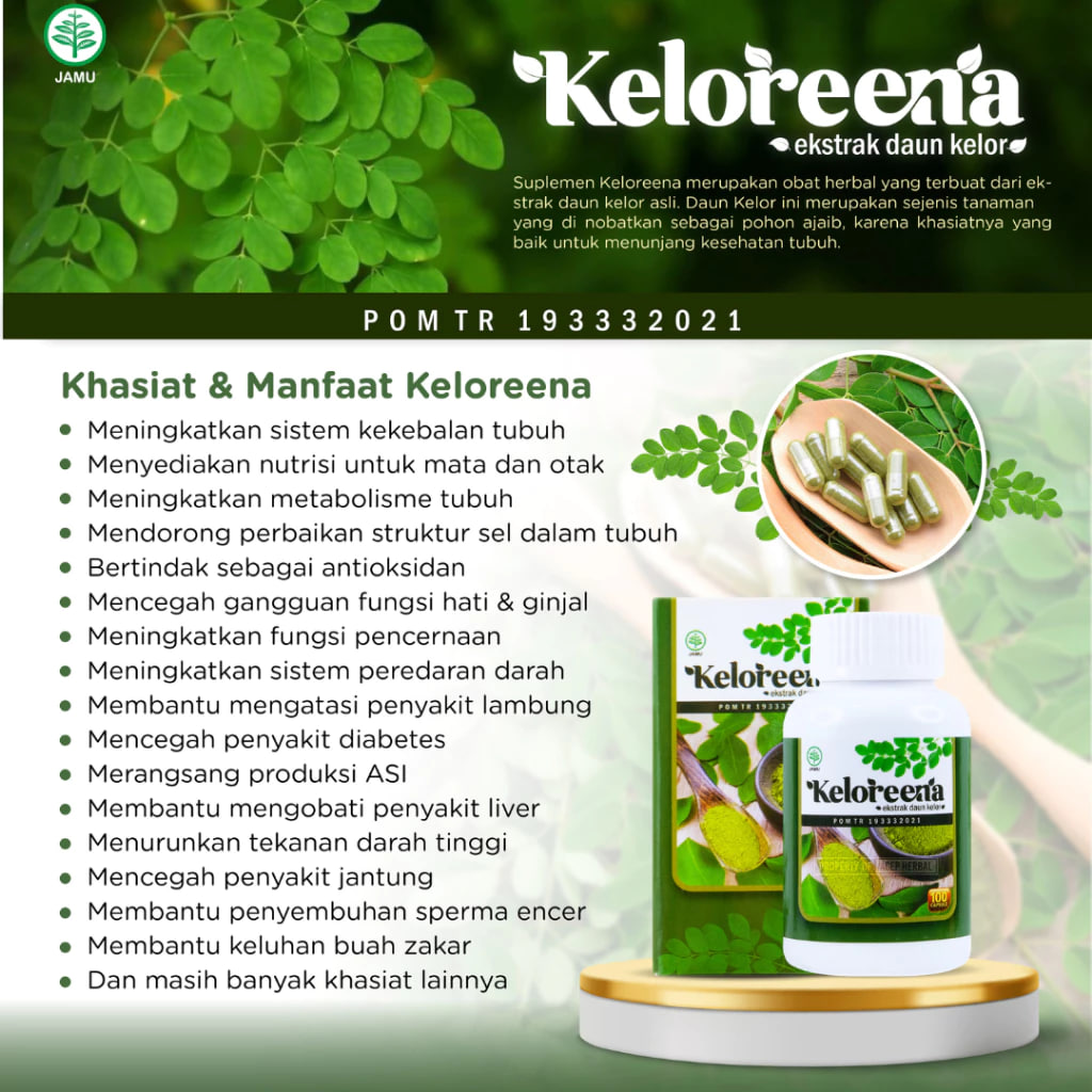 Keloreena Original 100% Asli Kapsul Daun Kelor Ekstrak Moringa Oleifera BPOM Dan Halal Obat Herbal Kolesterol Asam Urat Benjolan 2