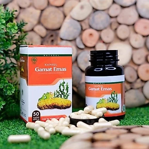Gamat Emas kapsul Asli 100% Original Isi 50 Kapsul Obat Herbal Hernia Varikokel Turun Berok Kolesterol Asam Urat Rematik Darah Tinggi Hipertensi Diabetes Batuk Sesak Nafas Asma Nyeri Sendi Asam Lambung Maag Batu Ginjal Gatal Scabies Miom Kista Liver 3