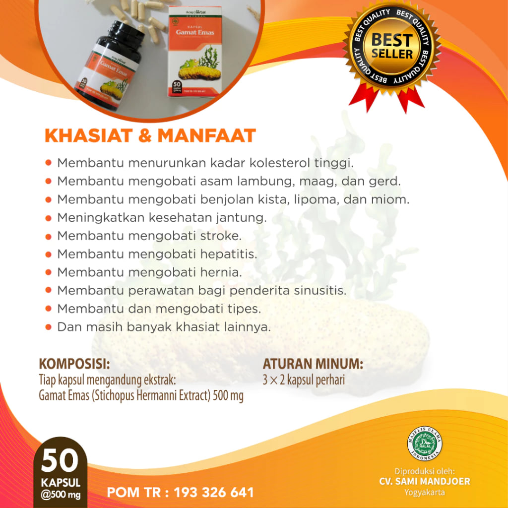 Gamat Emas kapsul Asli 100% Original Isi 50 Kapsul Obat Herbal Hernia Varikokel Turun Berok Kolesterol Asam Urat Rematik Darah Tinggi Hipertensi Diabetes Batuk Sesak Nafas Asma Nyeri Sendi Asam Lambung Maag Batu Ginjal Gatal Scabies Miom Kista Liver 2